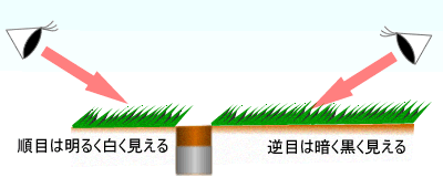 光の反射で芝目を読む