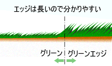 グリーンエッジを見る
